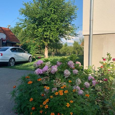Apartman Mauro Rakovica Buitenkant foto