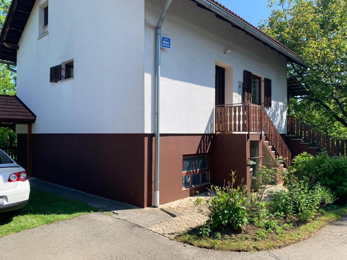 Apartman Mauro Rakovica Buitenkant foto