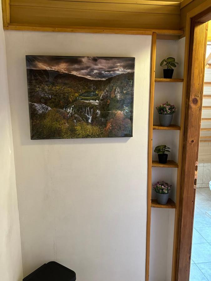 Apartman Mauro Rakovica Buitenkant foto