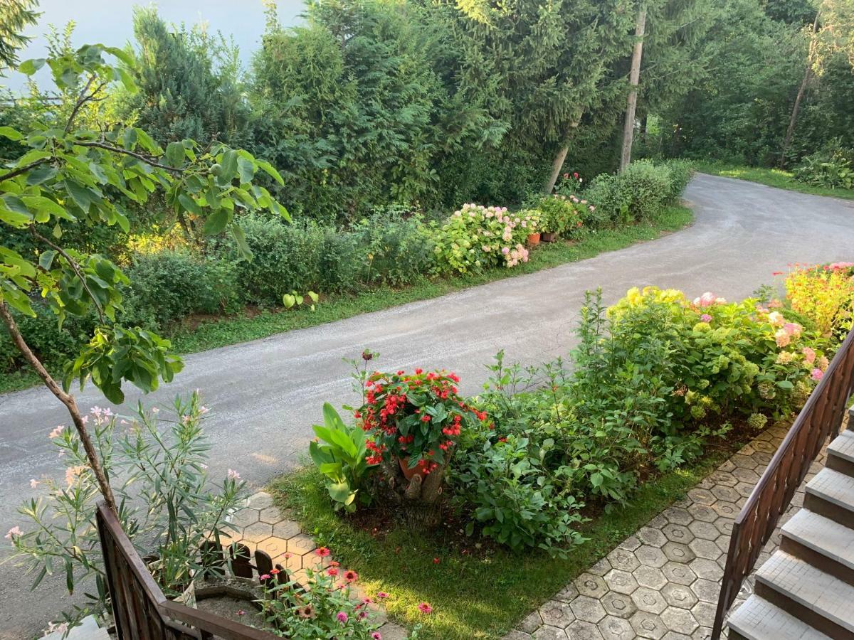 Apartman Mauro Rakovica Buitenkant foto