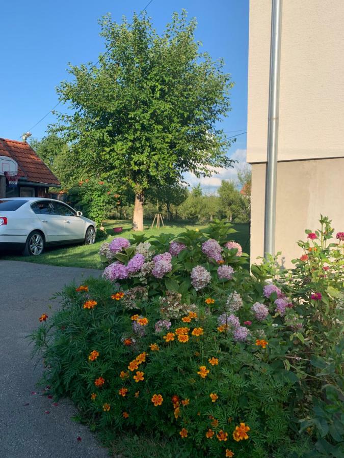 Apartman Mauro Rakovica Buitenkant foto